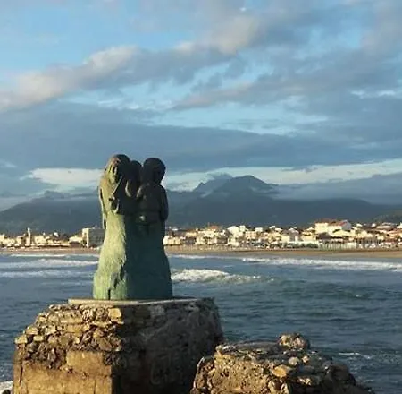 Bed & Breakfast Il Coltivatore Del Re Viareggio